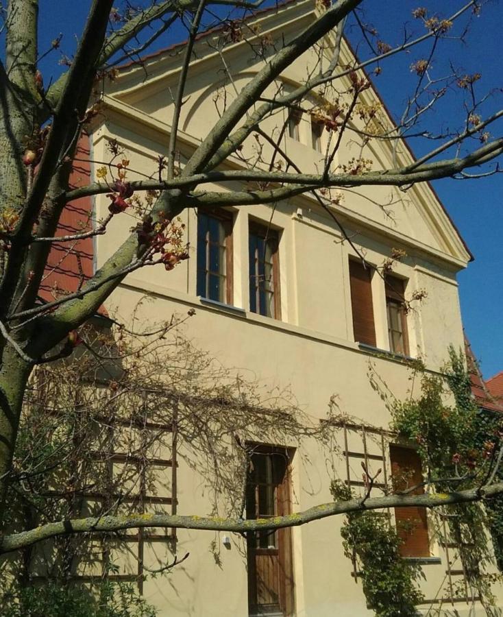 Haus Schmeile Magdeburg Exterior photo